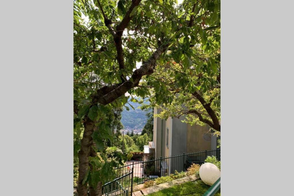 The Cherry Garden House Loft Lusso Apartment บรูนาเต ภายนอก รูปภาพ